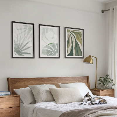Cadre photo mural Feuilles de plantes vertes et grises