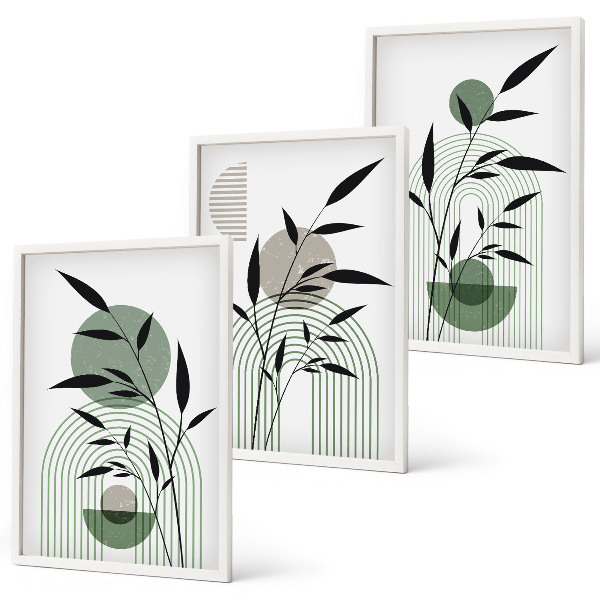 Lot de 3 tableaux pour salon Compositions végétales bohèmes