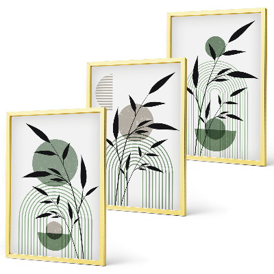 Lot de 3 tableaux pour salon Compositions végétales bohèmes