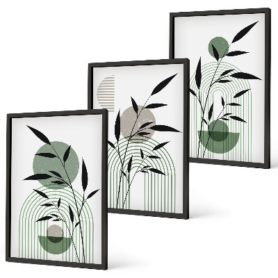 Lot de 3 tableaux pour salon Compositions végétales bohèmes