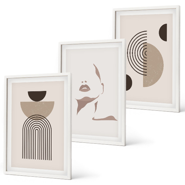 Lot de 3 tableaux pour salon Formes abstraites et visage