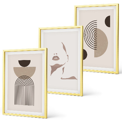 Lot de 3 tableaux pour salon Formes abstraites et visage