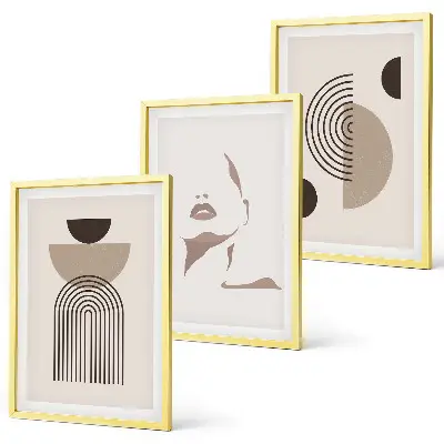 Lot de 3 tableaux pour salon motifs de formes abstraites et visage