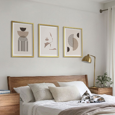 Lot de 3 tableaux pour salon Formes abstraites et visage