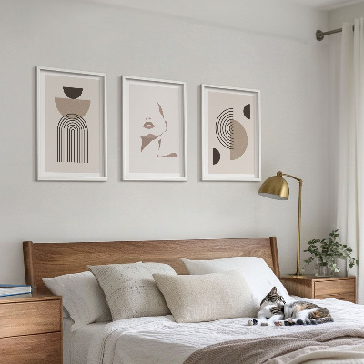 Lot de 3 tableaux pour salon Formes abstraites et visage