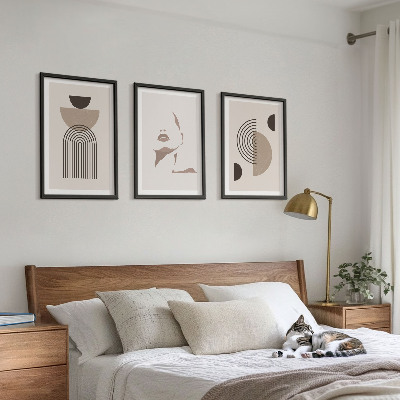 Lot de 3 tableaux pour salon Formes abstraites et visage