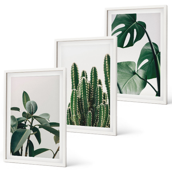 Lot de 3 tableaux pour salon Plantes esthétiques tropicales