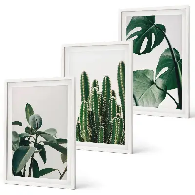 Lot de 3 tableaux pour salon motif plantes tropicales esthétiques