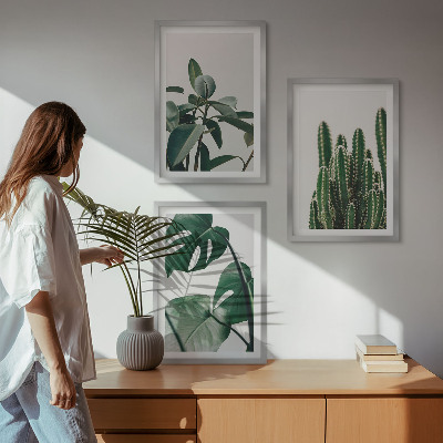 Lot de 3 tableaux pour salon Plantes esthétiques tropicales