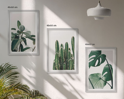 Lot de 3 tableaux pour salon Plantes esthétiques tropicales