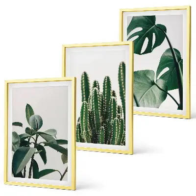 Lot de 3 tableaux pour salon motif plantes tropicales esthétiques