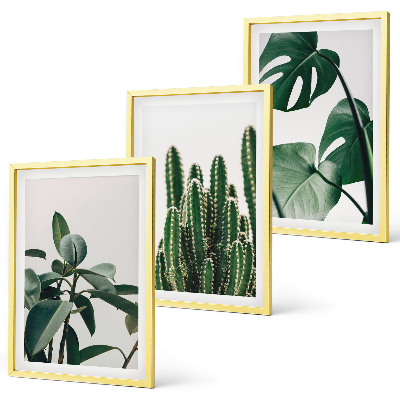 Lot de 3 tableaux pour salon Plantes esthétiques tropicales