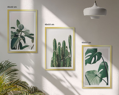 Lot de 3 tableaux pour salon Plantes esthétiques tropicales