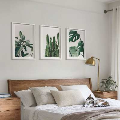 Lot de 3 tableaux pour salon Plantes esthétiques tropicales