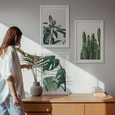 Lot de 3 tableaux pour salon Plantes esthétiques tropicales