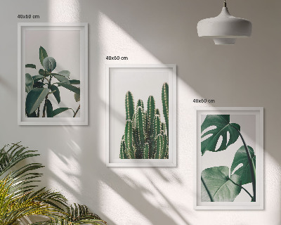 Lot de 3 tableaux pour salon Plantes esthétiques tropicales