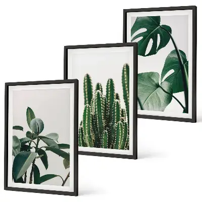 Lot de 3 tableaux pour salon motif plantes tropicales esthétiques