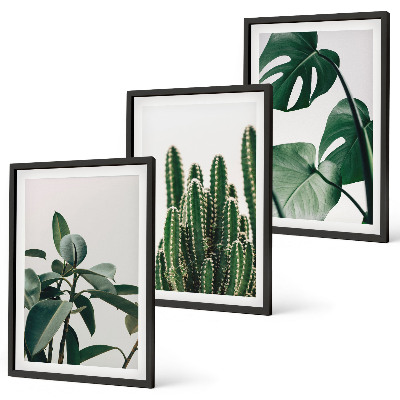 Lot de 3 tableaux pour salon Plantes esthétiques tropicales
