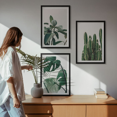 Lot de 3 tableaux pour salon Plantes esthétiques tropicales
