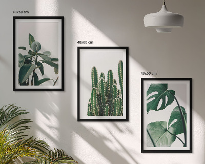 Lot de 3 tableaux pour salon Plantes esthétiques tropicales