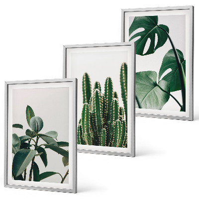 Lot de 3 tableaux pour salon Plantes esthétiques tropicales