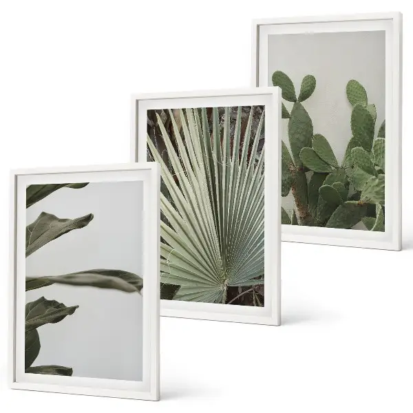 Lot de 3 tableaux pour salon feuilles de plantes tropicales aux tons pastel
