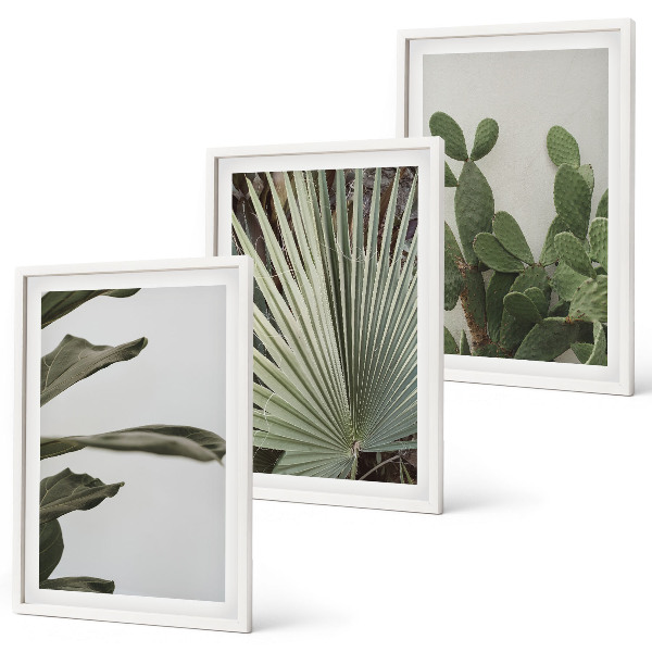 Lot de 3 tableaux pour salon Feuilles de plantes tropicales pastel