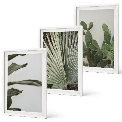 Lot de 3 tableaux pour salon feuilles de plantes tropicales aux tons pastel