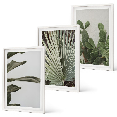 Lot de 3 tableaux pour salon Feuilles de plantes tropicales pastel
