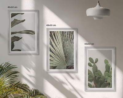 Lot de 3 tableaux pour salon Feuilles de plantes tropicales pastel
