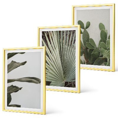 Lot de 3 tableaux pour salon Feuilles de plantes tropicales pastel
