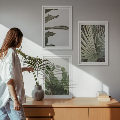 Lot de 3 tableaux pour salon Feuilles de plantes tropicales pastel