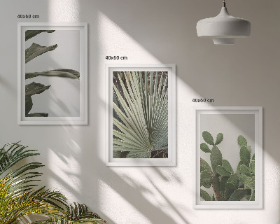 Lot de 3 tableaux pour salon Feuilles de plantes tropicales pastel
