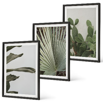Lot de 3 tableaux pour salon Feuilles de plantes tropicales pastel