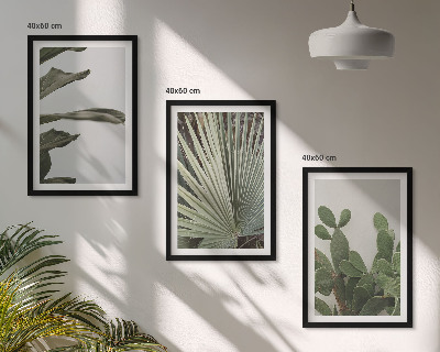 Lot de 3 tableaux pour salon Feuilles de plantes tropicales pastel