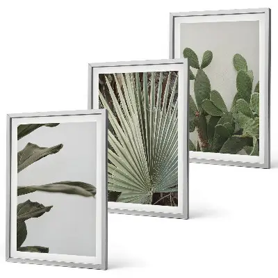 Lot de 3 tableaux pour salon feuilles de plantes tropicales aux tons pastel