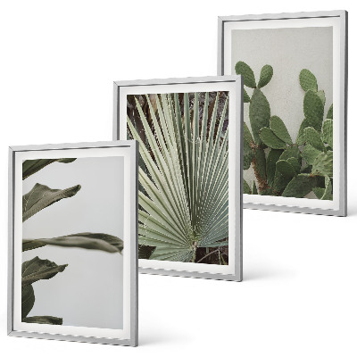 Lot de 3 tableaux pour salon Feuilles de plantes tropicales pastel
