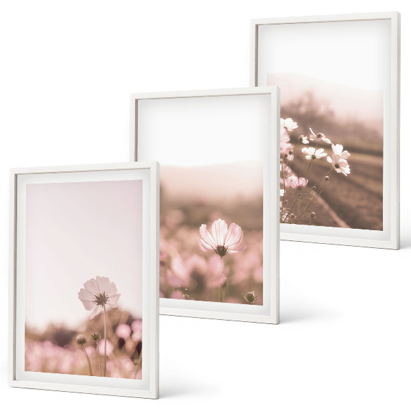 Cadre photo mural Prairies de fleurs sauvages, paysages d'été