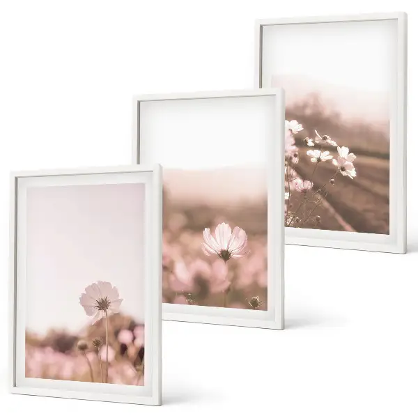 Cadre photo mural représentant des prairies de fleurs sauvages dans un paysage d'été