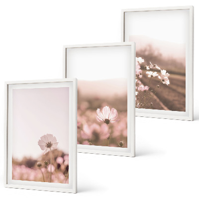 Cadre photo mural Prairies de fleurs sauvages, paysages d'été