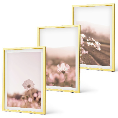 Cadre photo mural Prairies de fleurs sauvages, paysages d'été