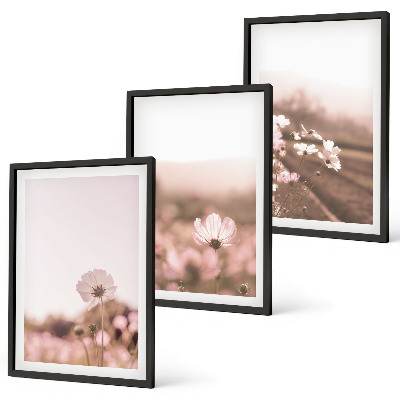 Cadre photo mural Prairies de fleurs sauvages, paysages d'été