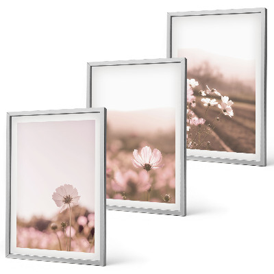 Cadre photo mural Prairies de fleurs sauvages, paysages d'été