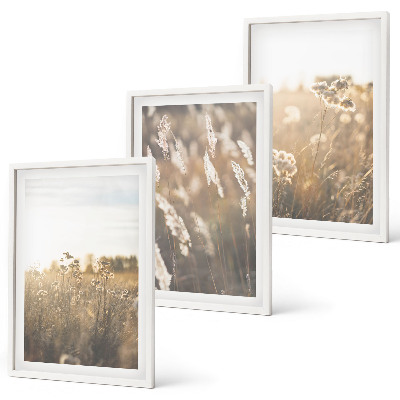 Lot de 3 tableaux pour salon Paysage herbe fleurs chaleur