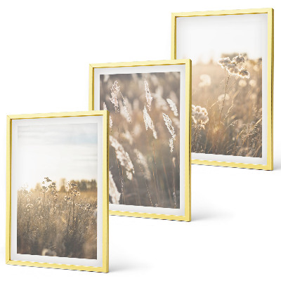 Lot de 3 tableaux pour salon Paysage herbe fleurs chaleur