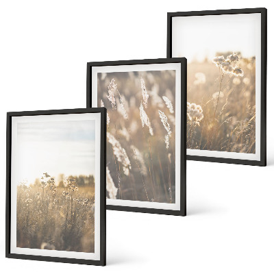Lot de 3 tableaux pour salon Paysage herbe fleurs chaleur