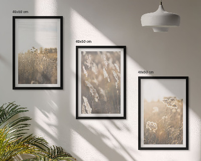 Lot de 3 tableaux pour salon Paysage herbe fleurs chaleur