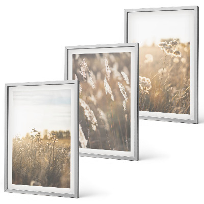Lot de 3 tableaux pour salon Paysage herbe fleurs chaleur