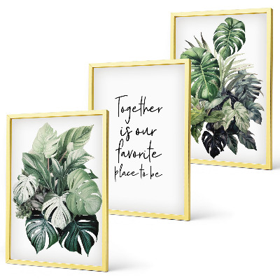 Cadre photo mural Feuilles vertes des plantes tropicales