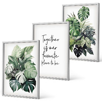 Cadre photo mural Feuilles vertes des plantes tropicales